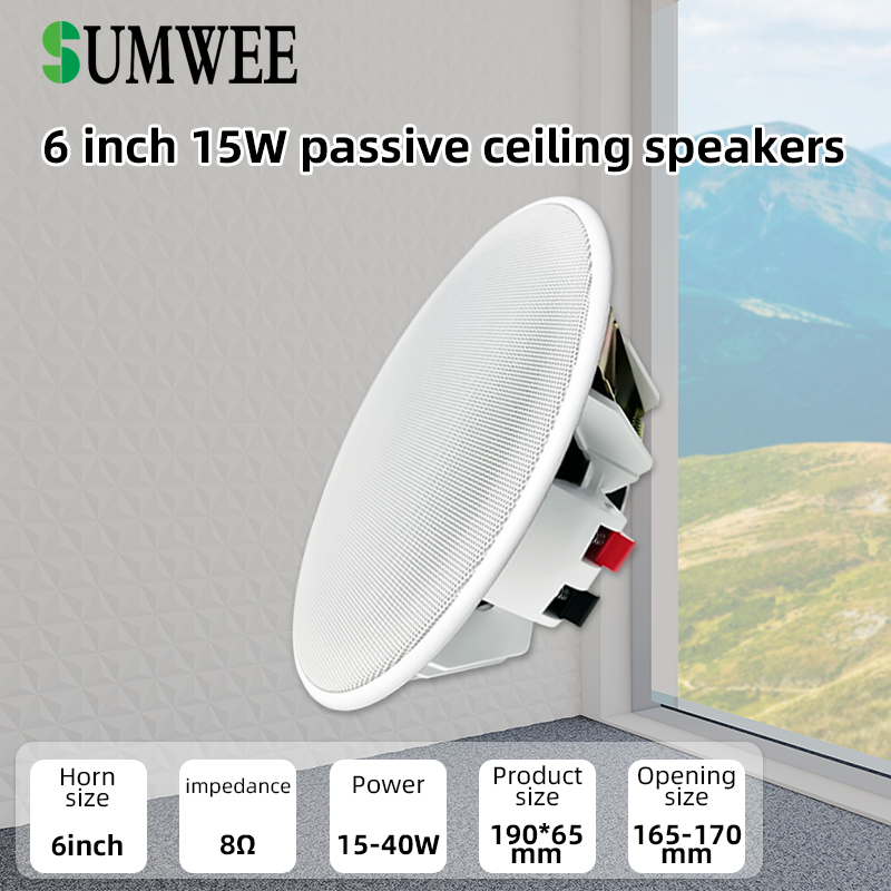 Audio Music System For Home - مكبر صوت سقفي 6 بوصات 8
