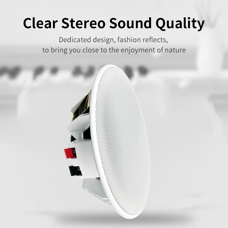 مكبر صوت سقفي 6 بوصات 8 أوم، ن - مراجعة Audio Music System For Home وسعره