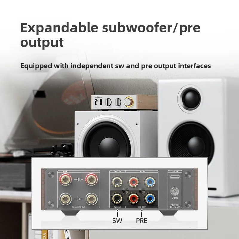 مكبر صوت FiiO Horizon Level 1  - مراجعة Audio Music System For Home وسعره