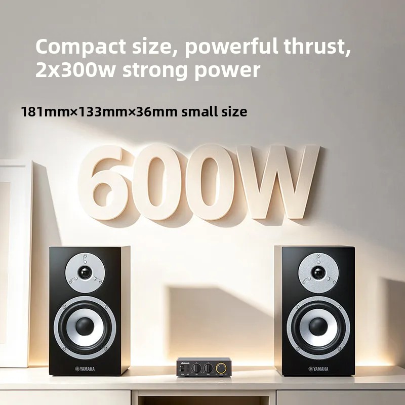 مكبر صوت FiiO Horizon Level 1  - مراجعة Audio Music System For Home وسعره