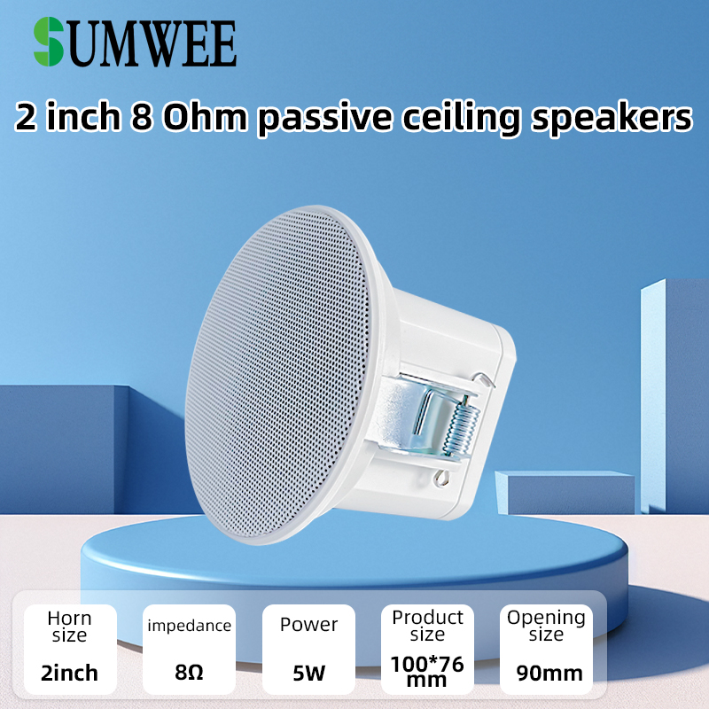 مكبر صوت سقفي صغير 2 بوصة بمقا - مراجعة Audio Music System For Home وسعره